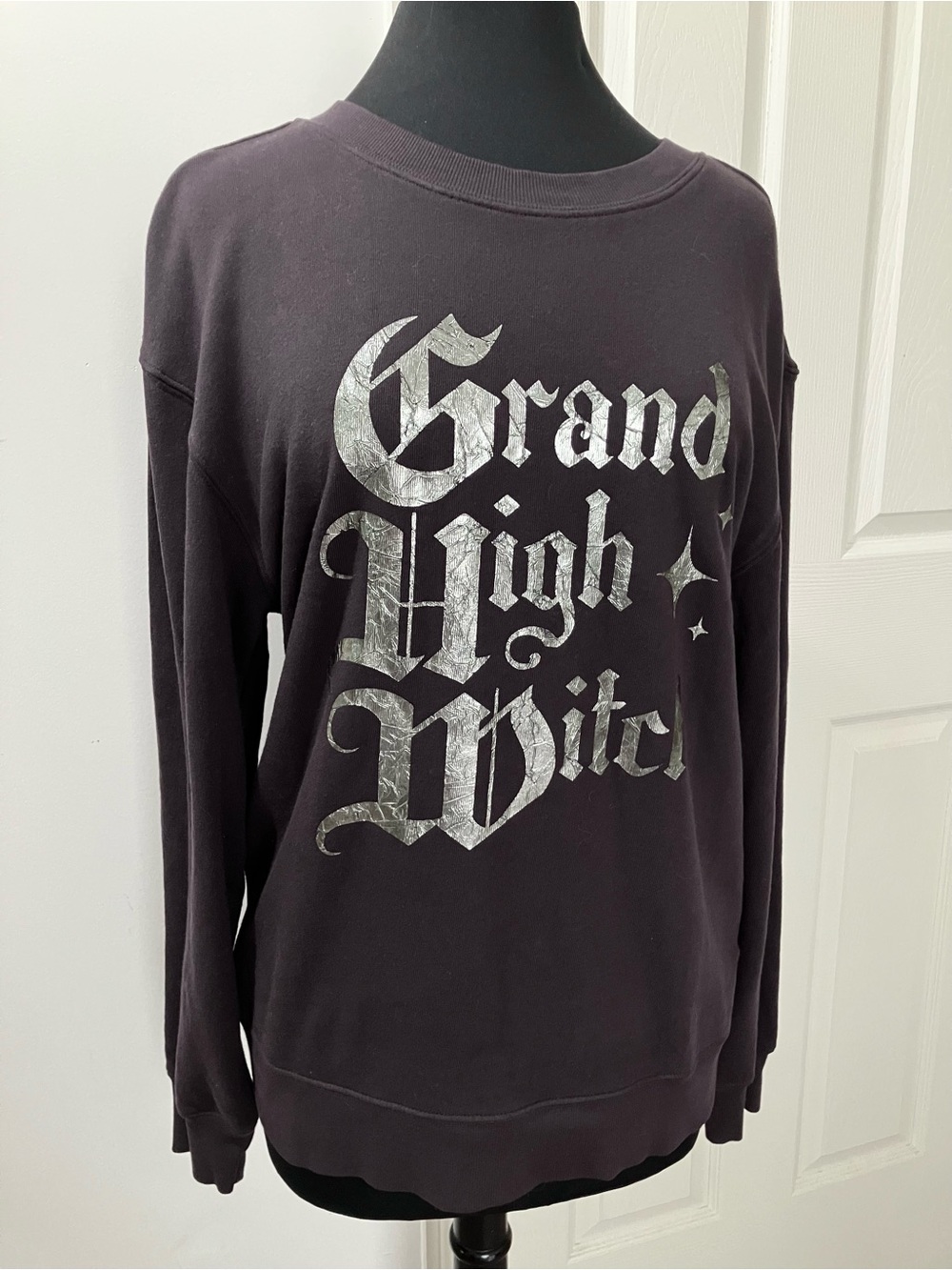NWT Wildfox Grand High Witch Daytrip Sweatshirt Vintage Black Sz. M #CO46C157